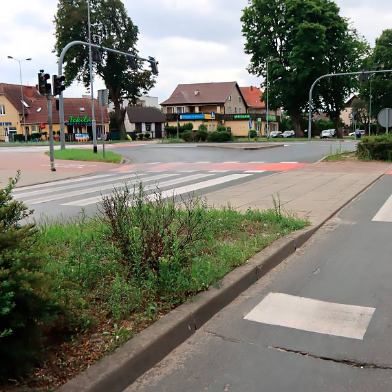 Zachwaszczone skwery na głównych ciągach komunikacyjnych