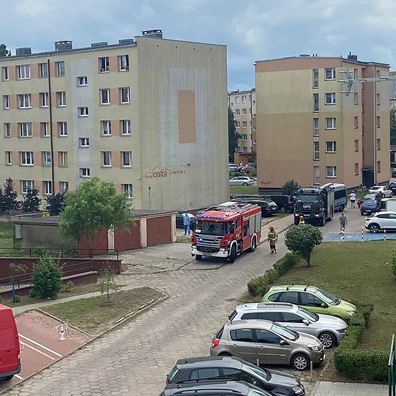 Lea w mieszkaniu i nie mg si podnie. Na Matejki przyjechay wszystkie suby