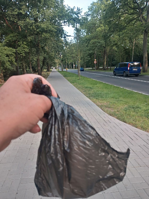 Z psi kup tylko na przystanki? Brakuje mietnikw!