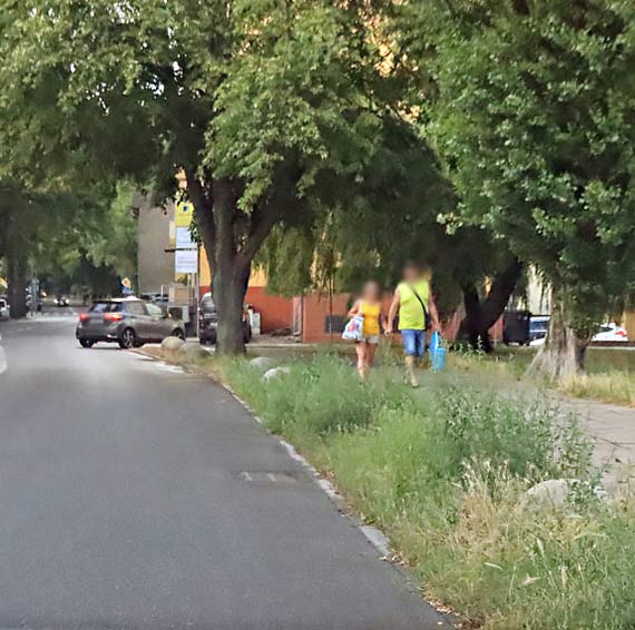 Tych trawniczkw z gabinetu  prezydenckiego, murkiewicz nie widzi