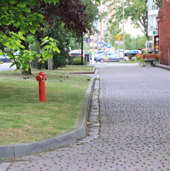 Tych trawniczkw z gabinetu  prezydenckiego, murkiewicz nie widzi
