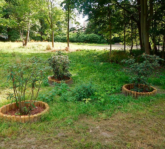 Mieszkaniec - Pieniądze usychają na naszych oczach!