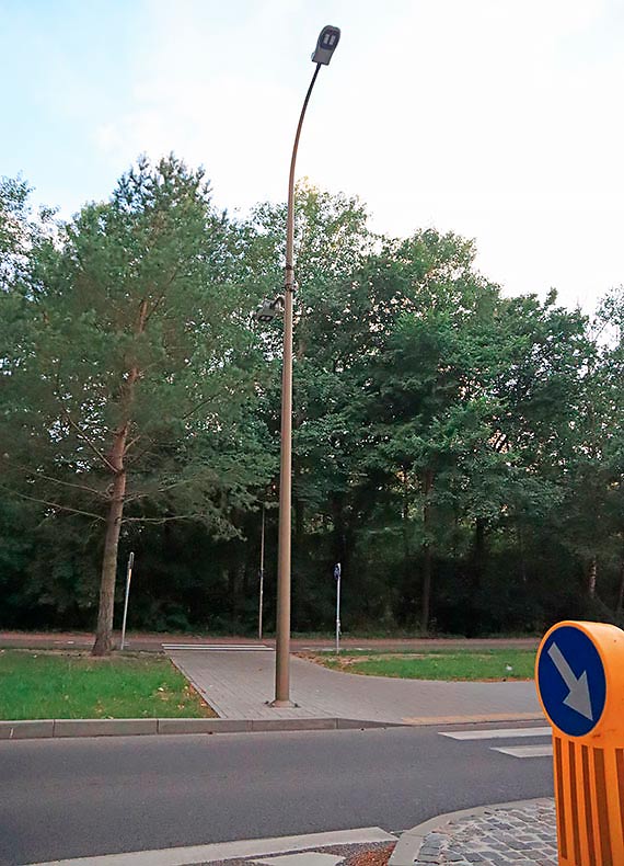 Czy dzięki fotopułapkom zniknie proceder podrzucania śmieci?