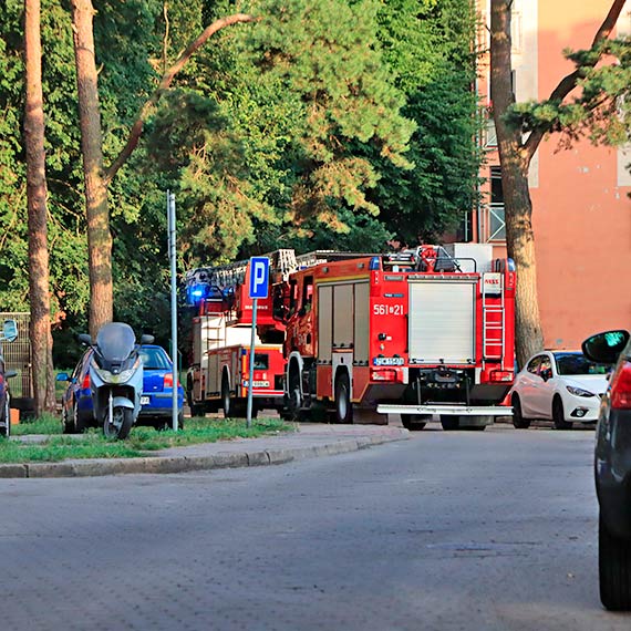 Zwoki kobiety w mieszkaniu przy ulicy Krzywej