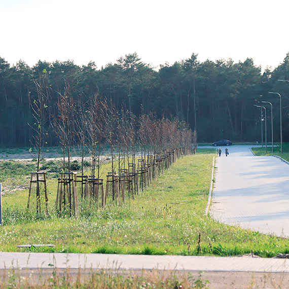 Gucha cisza zapada na terenie budowy Centrum Usug Mulnik. Mieszkanka: Mimo wyonienia kilku dzierawcw nic si nie dzieje