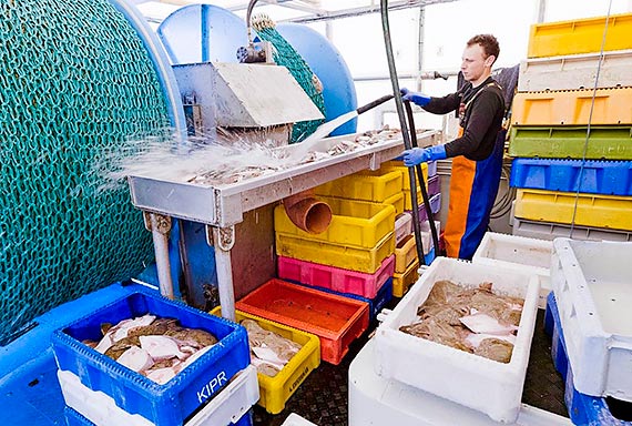 MSC dla Kołobrzeskiej Grupy Producentów Ryb