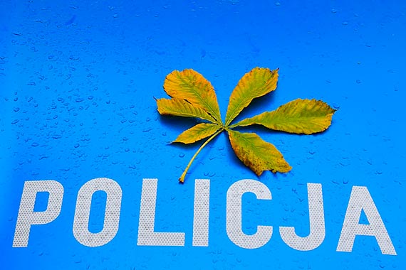 Podarujmy sobie i bliskim bezpieczestwo tej jesieni