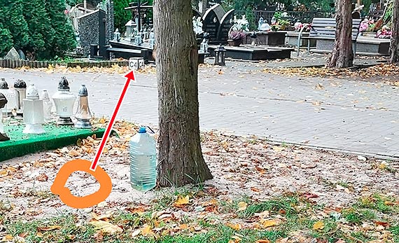 Mieszkaniec - Koci na cmentarzu?!