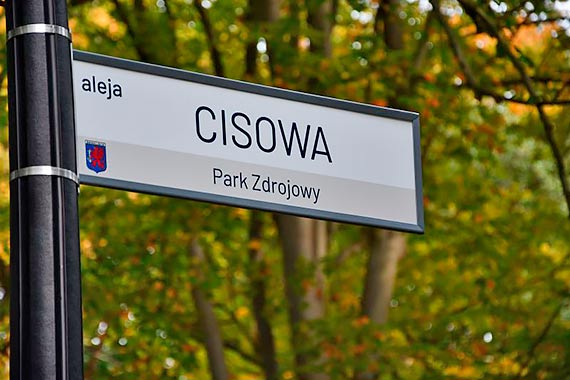 Park Zdrojowy. Spotkajmy się na Cisowej