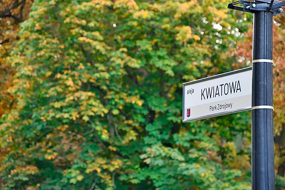 Park Zdrojowy. Spotkajmy się na Cisowej