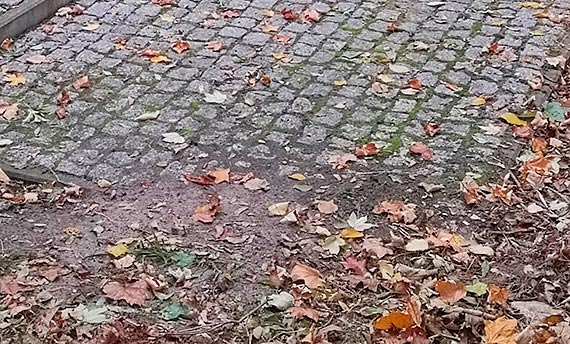 Mieszkaniec - Zaniedbane miejsce pamięci w Parku Chopina!