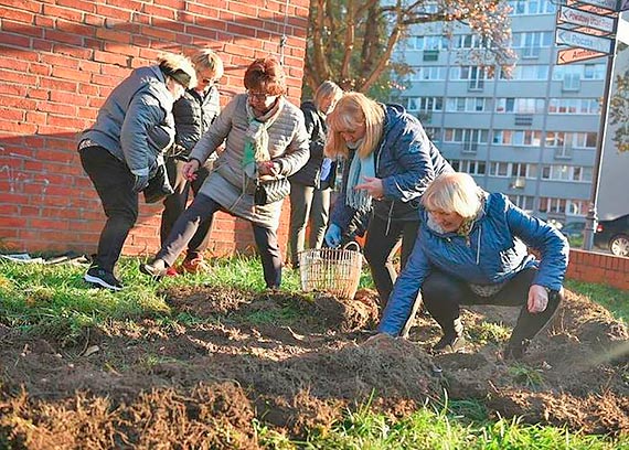 Godzina dla ¦winouj¶cia