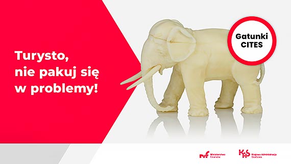 Handel zagrożonymi gatunkami roślin i zwierząt jest karalny