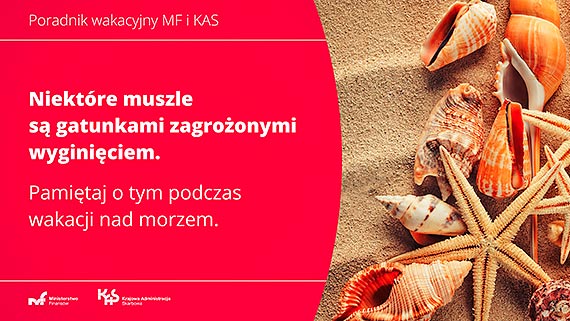 Handel zagrożonymi gatunkami roślin i zwierząt jest karalny