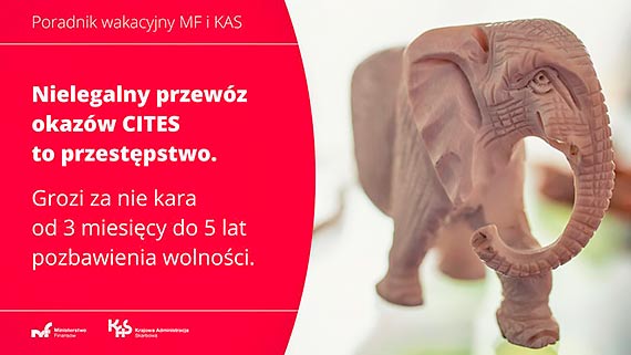 Handel zagrożonymi gatunkami roślin i zwierząt jest karalny