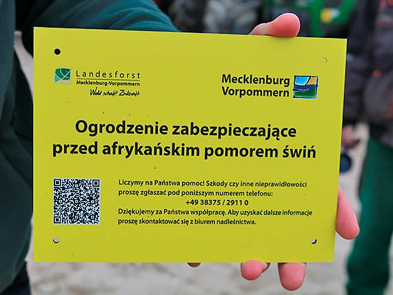 Niemieckie ministerstwo uspokaja: ogrodzenie ma play nie oznacza zamknicia granicy. To ochrona przed ASF