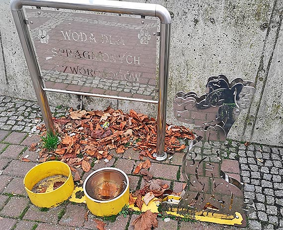 Mieszkanka: Temat wraca jak bumerang!