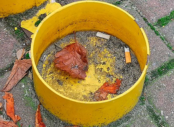 Mieszkanka: Temat wraca jak bumerang!