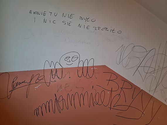 Mieszkaniec: Wandale znowu niszcz owoce naszej pracy