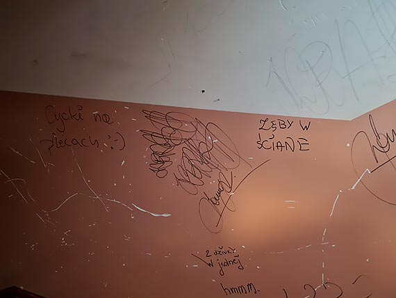 Mieszkaniec: Wandale znowu niszcz owoce naszej pracy