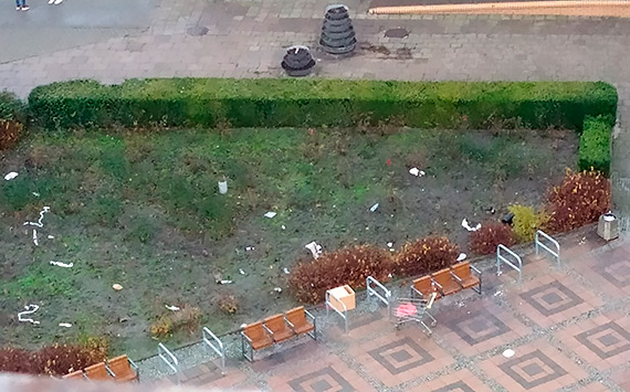 Mieszkaniec: Takie widoki w centrum miasta!