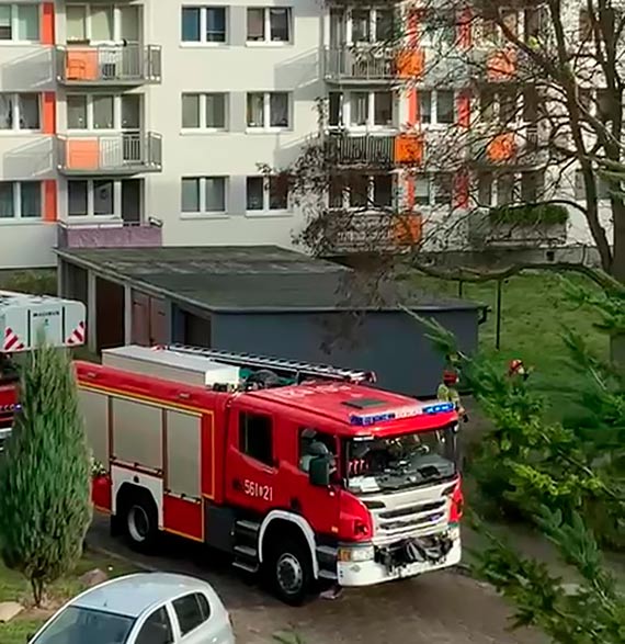 Brak kontaktu z kobiet zaniepokoi bliskich. Do akcji ruszyli straacy i ratownicy medyczni