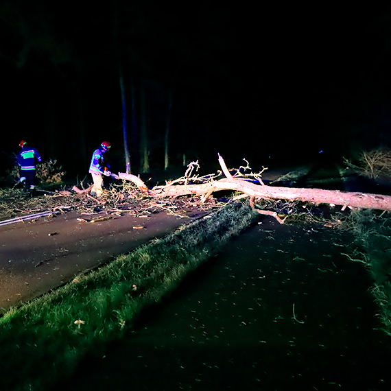 Silny wiatr da o sobie zna. W winoujciu straacy interweniowali 10 - razy 