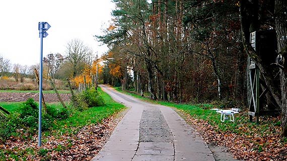 Rowerem po wzgórzach nad Zalewem