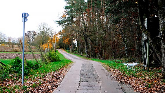 Rowerem po wzgrzach nad Zalewem