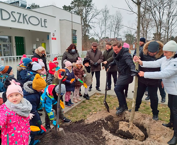 Platany dla przedszkola w Świnoujściu na finał tegorocznej akcji sadzenia drzew