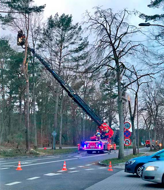 Strażacy nieustannie wyjeżdżali do akcji. Usuwali połamane przez wiatr drzewa