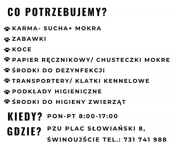 Zbiórka dla zwierząt z Ukrainy