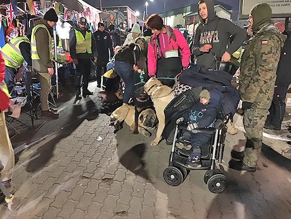 Harcerze ZHP pomagają na granicy z Ukrainą
