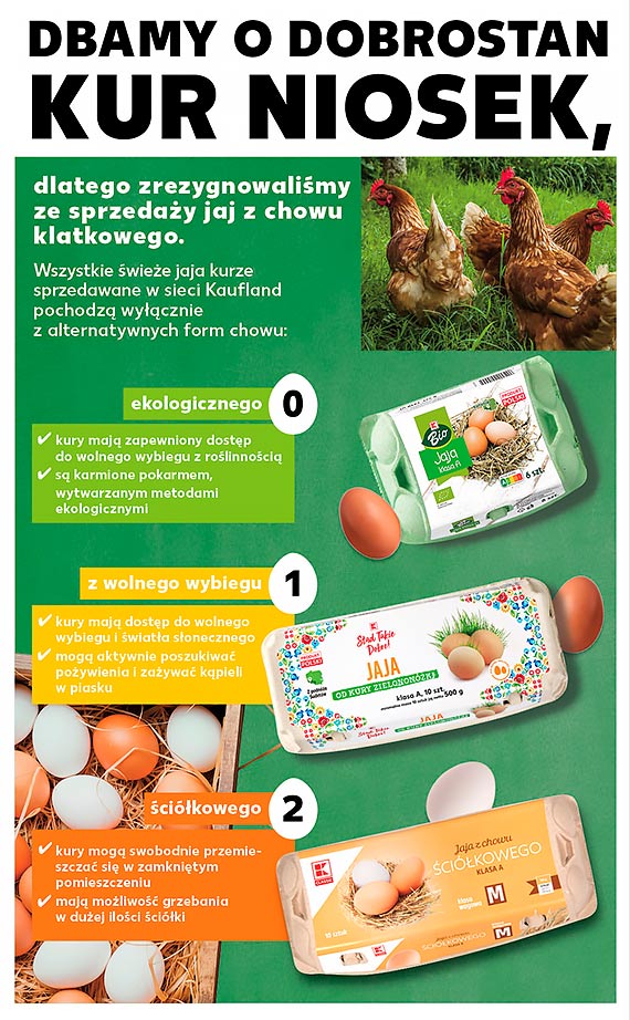Kaufland dotrzymuje obietnicy – sieć nie sprzedaje już jaj pochodzących od kur z chowu klatkowego