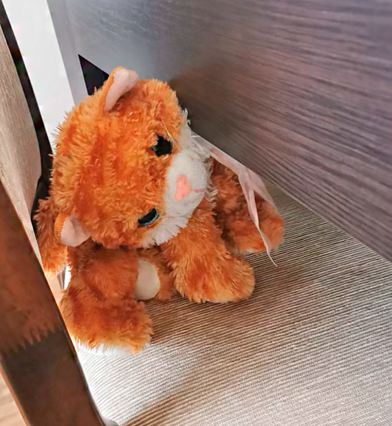 Maa wacicielka rudo-biaej maskotki bardzo za ni tskni