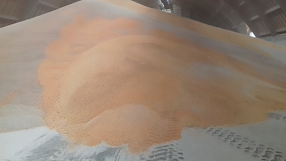 Pierwszy statek z ukraińską rudą wypłynął z portu Świnoujście