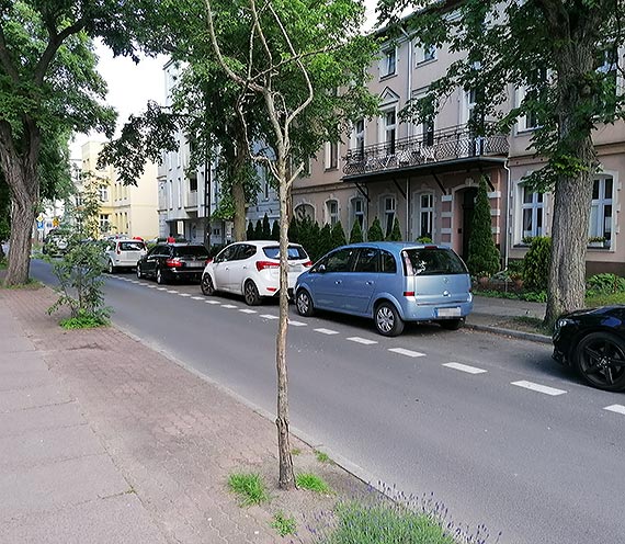 Mieszkaniec: Uschnite drzewo