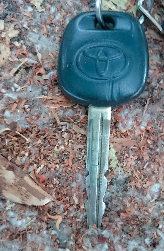 Znaleziono kluczyk do toyoty