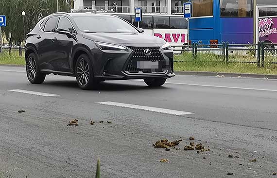 Mieszkanka - Kto ma to posprzta?