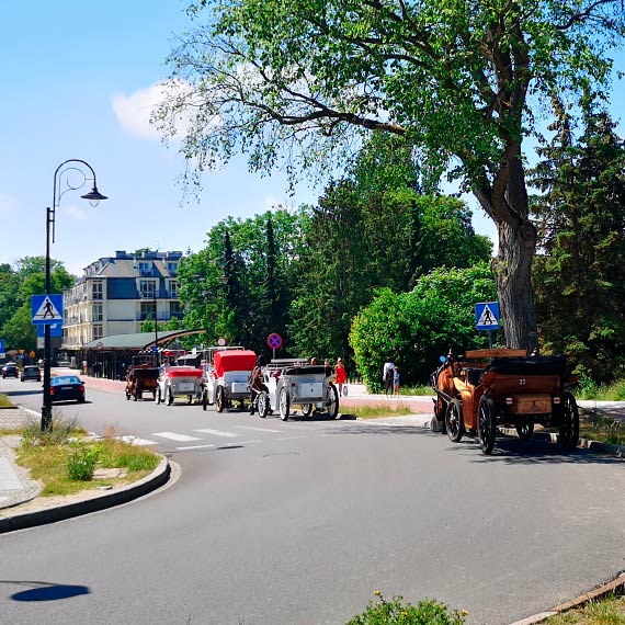Mieszkaniec: W kolejce do cienia. Dorokarze pac 800 zotych za stanie w socu?
