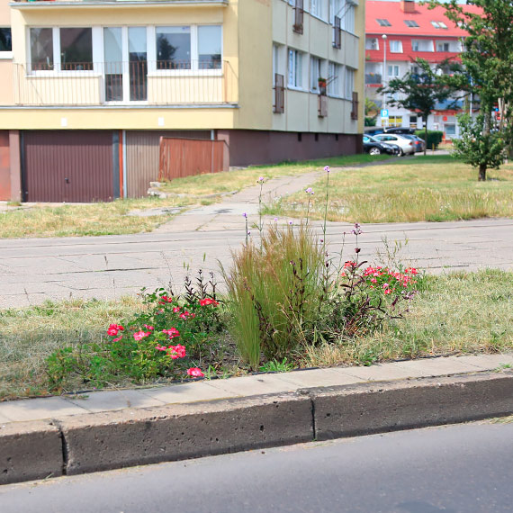 Mieszkanka: Wreszcie wida kwiatki!