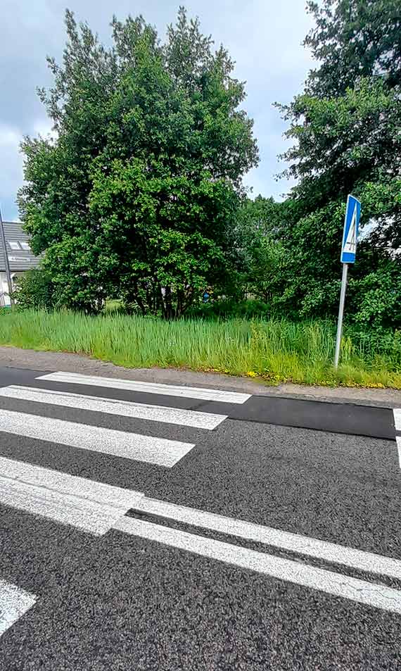 Piesi mogą przejść z krzaków w...krzaki