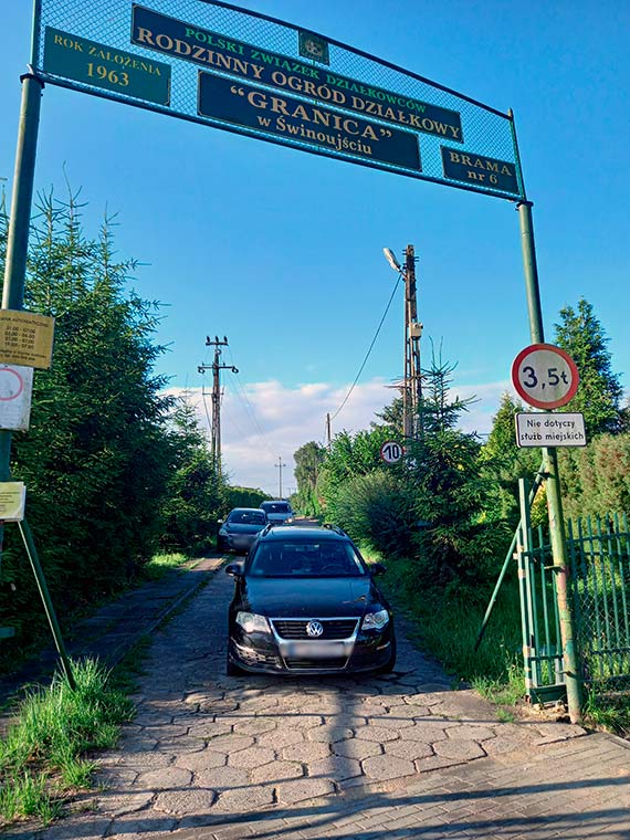 Mistrz parkuje, reszta czeka