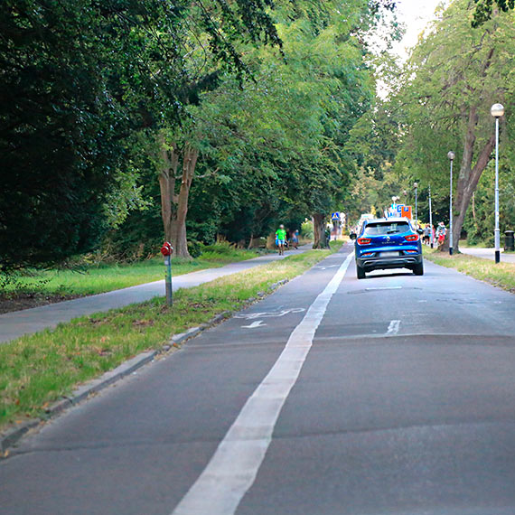 Wyrywają potężne chwasty i koszą trawę