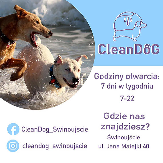 Nowa myjnia samoobsugowa dla psw! Czego takiego jeszcze w winoujciu nie byo