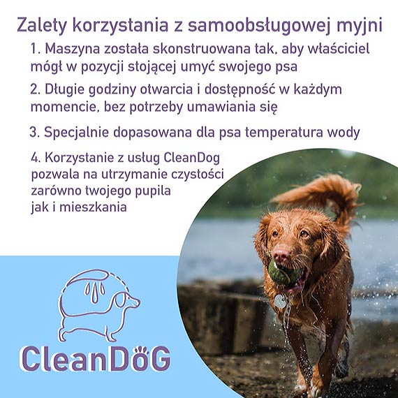 Nowa myjnia samoobsugowa dla psw! Czego takiego jeszcze w winoujciu nie byo