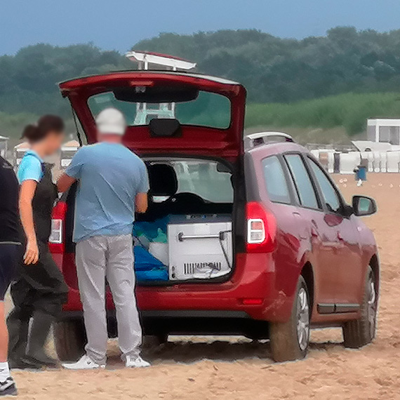 Mieszkanka - Badają wodę na plaży?!