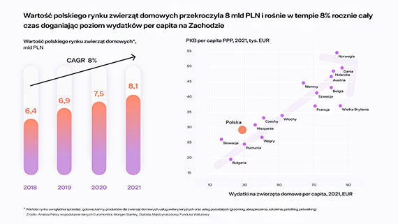 Polski startup podbija rynek opieki nad zwierztami - Petsy trzyma biznes na smyczy