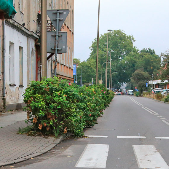Ulica czy rabatka?
