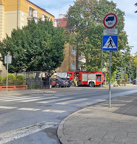 Gniazdo os w pensjonacie. Potrzebni byli straacy
